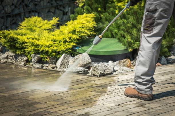 Boat and Dock Cleaning in Pleasantville, IA