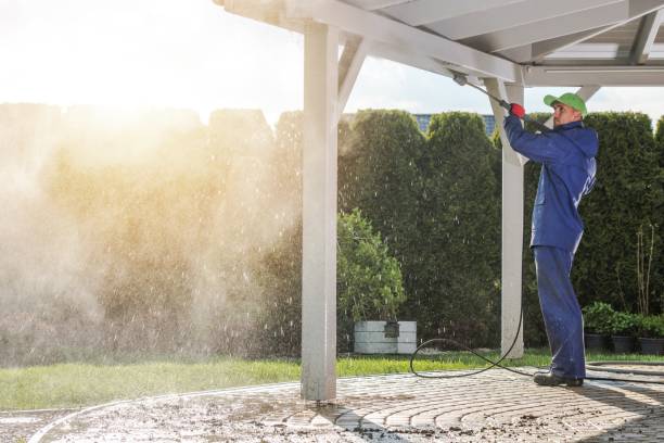 Animal Enclosure Cleaning in Pleasantville, IA