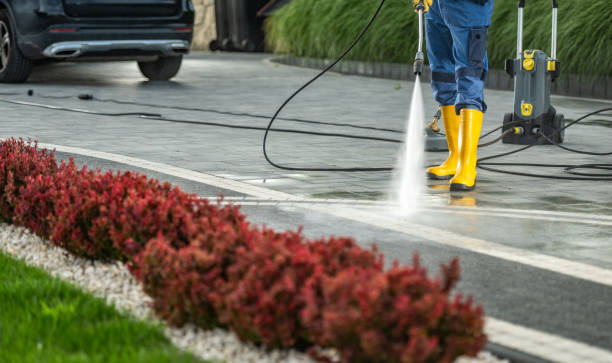 Best Animal Enclosure Cleaning  in Pleasantville, IA