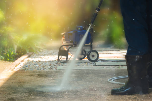 Best Driveway Pressure Washing  in Pleasantville, IA